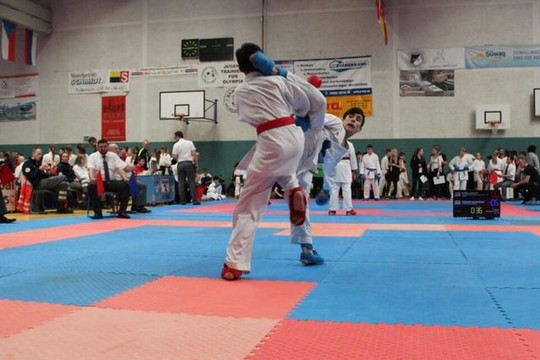 Bild 1 von KARATE CENTRUM RHEIN-NECKAR Dojo Hockenheim Partnergalerie