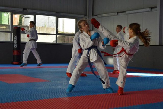 Bild 3 von KARATE CENTRUM RHEIN-NECKAR Dojo Hockenheim Partnergalerie