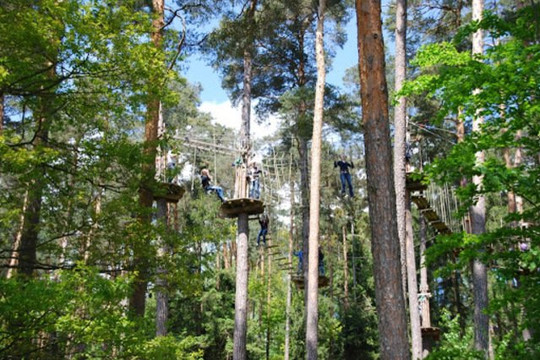 Bild 2 von AbenteuerWald Partnergalerie