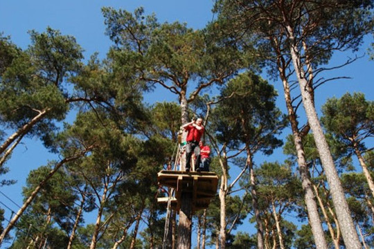 Bild 3 von AbenteuerWald Partnergalerie