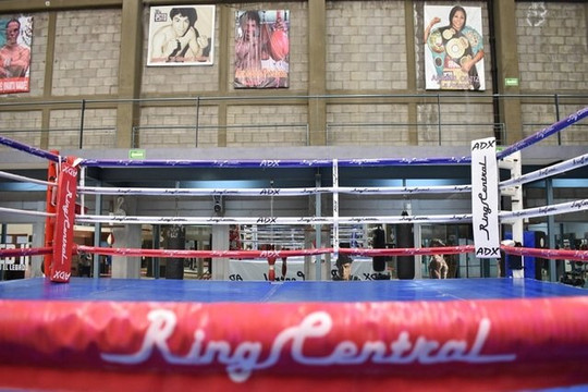 Imagen 3 de la galería del partner Gimnasio de Box Ring Central