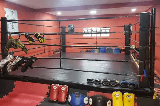 Imagem 1 da galeria do parceiro CTDragon force