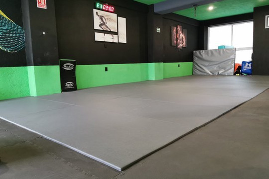 Imagen 2 de la galería del partner Kinamm