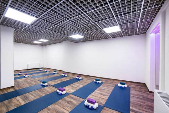 Immagine 1 dalla galleria del partner Fierce Grace Hot Yoga Roma