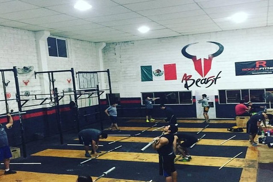 Imagen 3 de la galería del partner Beast CF