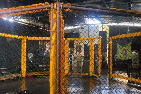 Imagem 3 da galeria do parceiro Arena Fitness