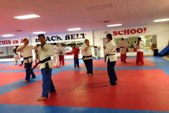 Image 2 from UMAS Karate partner gallery