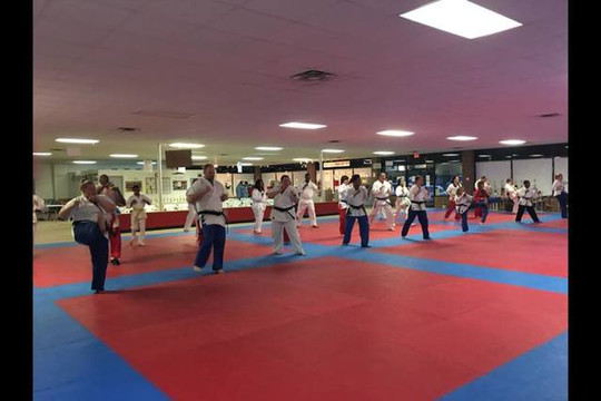 Image 3 from UMAS Karate partner gallery