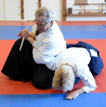 Image 3 from Traditional Aikido Sarasota partner gallery