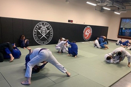 Image 3 from Ximenes Brazilian Jiu Jitsu and Judo partner gallery