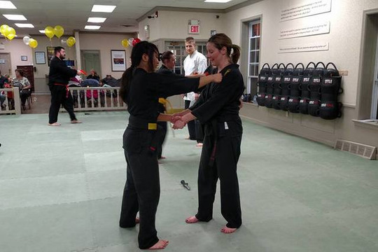 Image 1 from Action Karate - North Wales partner gallery