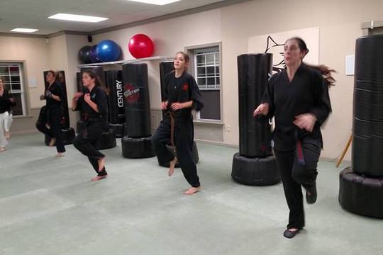 Image 2 from Action Karate - North Wales partner gallery