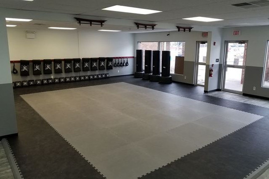 Image 1 from Action Karate Whitehall partner gallery