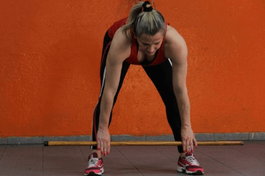 Imagem 2 da galeria do parceiro Maria inês Vieira dos Santos