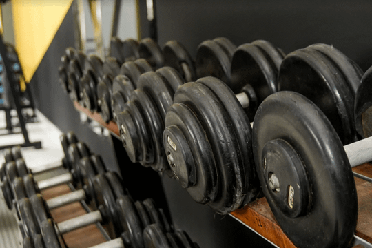Imagem 3 da galeria do parceiro Águia Gym Bragança