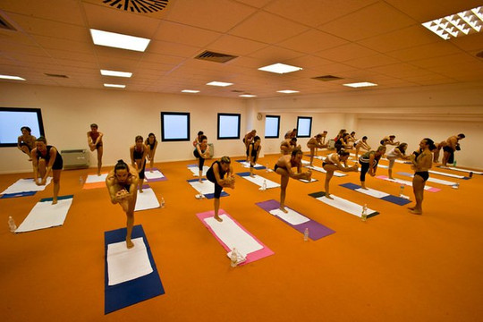 Immagine 1 dalla galleria del partner YOGAH – L’ARTE DELLO YOGA