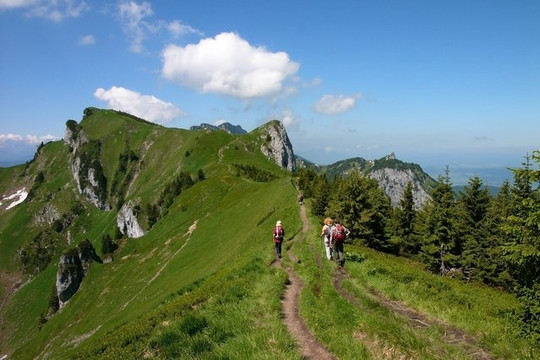 Bild 3 von Wandern am Brauneck / Skigebiet Lenggries.Brauneck Partnergalerie