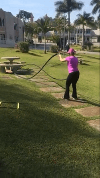 Imagem 2 da galeria do parceiro SILVINO SANTOS OLIVEIRA