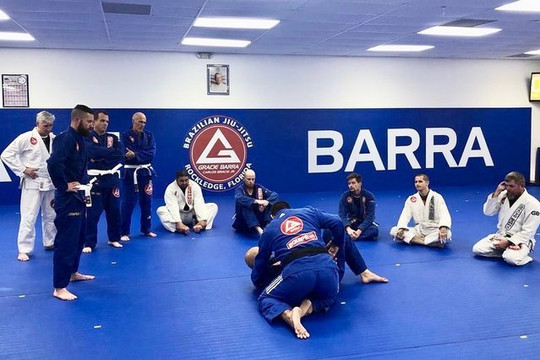 Image 3 from Gracie Barra Rockledge partner gallery