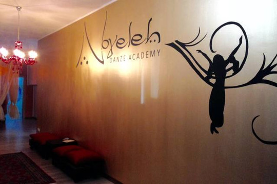 Immagine 3 dalla galleria del partner Noyeleh Danze Academy