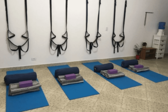 Imagem 1 da galeria do parceiro Studio Artha Yoga