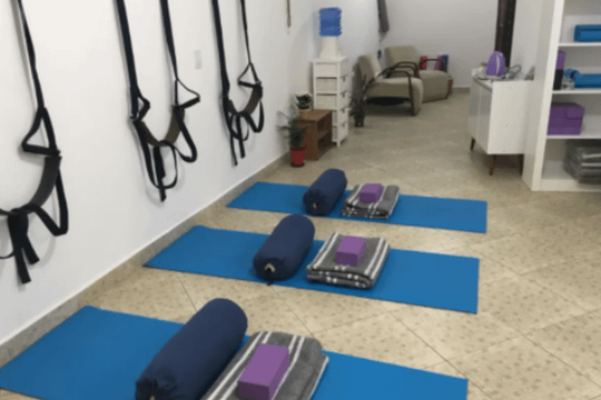 Imagem 3 da galeria do parceiro Studio Artha Yoga