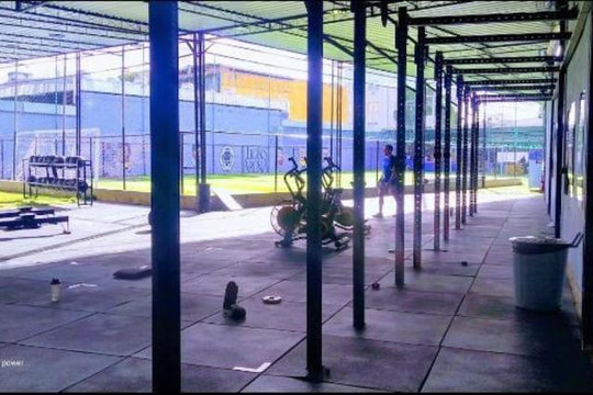 Imagem 3 da galeria do parceiro Lions Arena