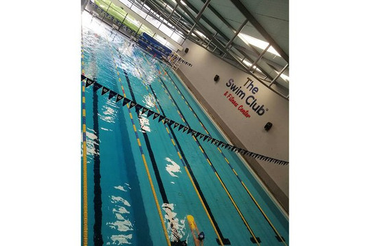 Imagen 3 de la galería del partner The Swim Club & Fitness Center