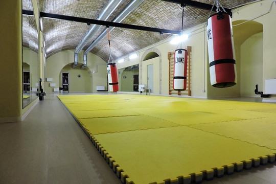 Immagine 3 dalla galleria del partner San Gabriel Gymnasium - Box 00144