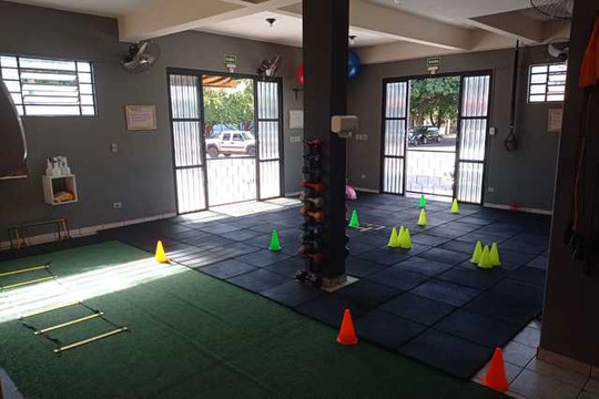 Imagem 1 da galeria do parceiro studio funcional force team