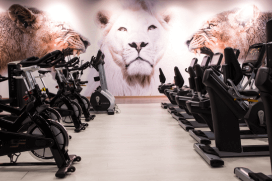 Imagen 3 de la galería del partner Nine Fitness Pinto by VivaGym