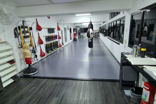 Imagem 1 da galeria do parceiro Team Serrão Kickboxing