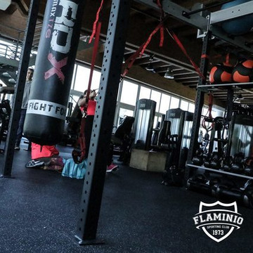 Immagine 1 dalla galleria del partner CENTRO SPORTIVO FLAMINIO SPORTING CLUB OPEN GYM