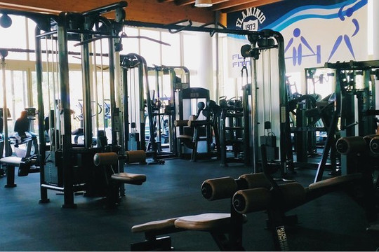 Immagine 2 dalla galleria del partner CENTRO SPORTIVO FLAMINIO SPORTING CLUB OPEN GYM