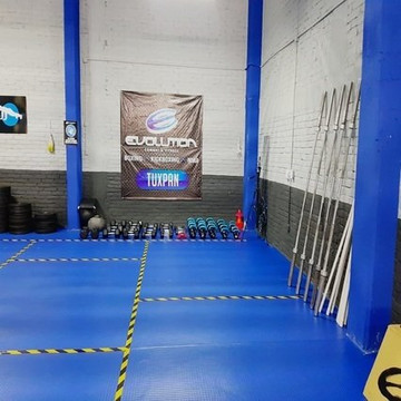 Imagen 2 de la galería del partner Evolution Tuxpan