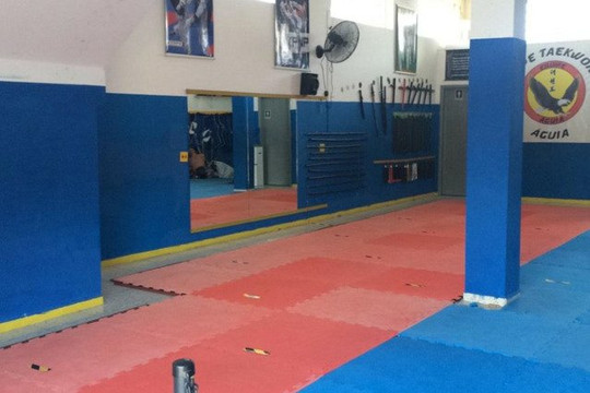 Imagem 3 da galeria do parceiro Taekwondo Academia Aguia