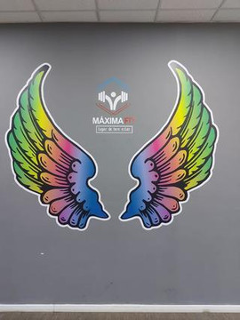 Imagem 3 da galeria do parceiro Máxima Fit