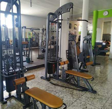 Imagem 3 da galeria do parceiro Profit Academia