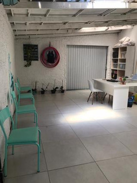 Imagem 1 da galeria do parceiro LS - Dança e Ginástica