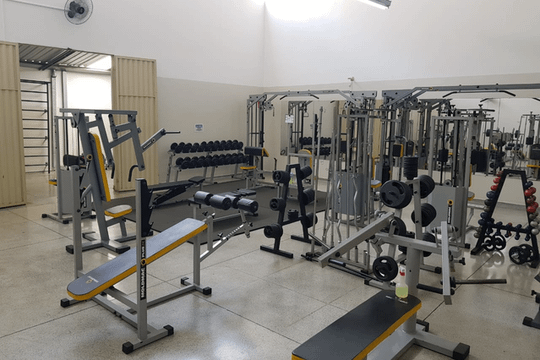 Imagem 3 da galeria do parceiro Kings Academia