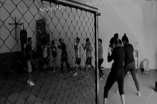 Imagen 3 de la galería del partner Total Defense