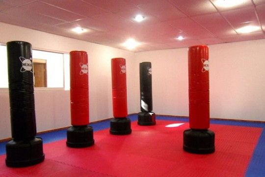 Imagen 2 de la galería del partner KARATE KNS