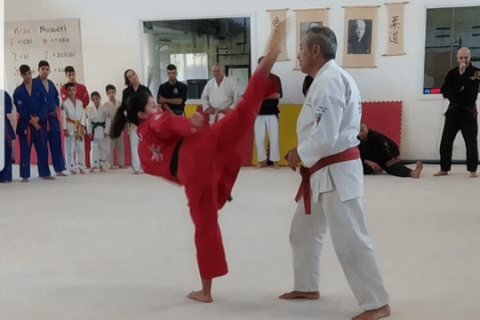 Immagine 3 dalla galleria del partner Asd Il Dojo