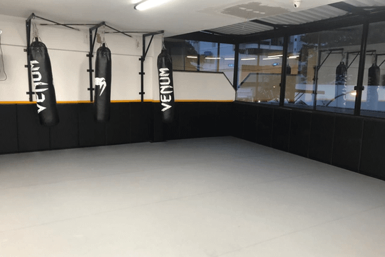 Imagem 1 da galeria do parceiro Olympus Fight - JP