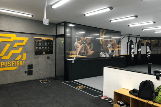 Imagem 3 da galeria do parceiro Olympus Fight - JP