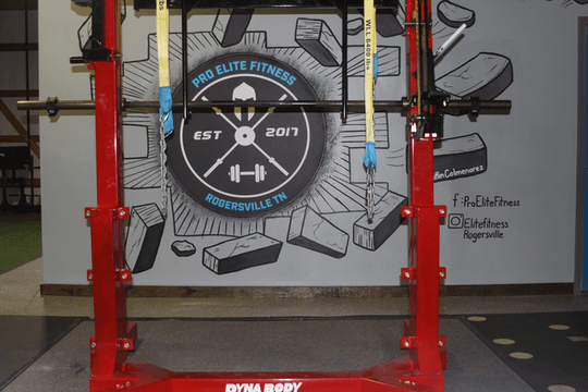 Image 3 from Pro Elite Fitness partner gallery