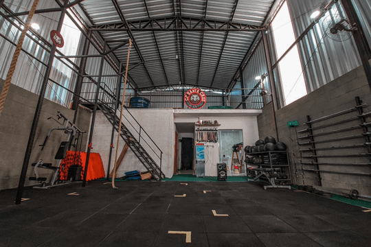 Imagem 3 da galeria do parceiro CF Santa Cruz