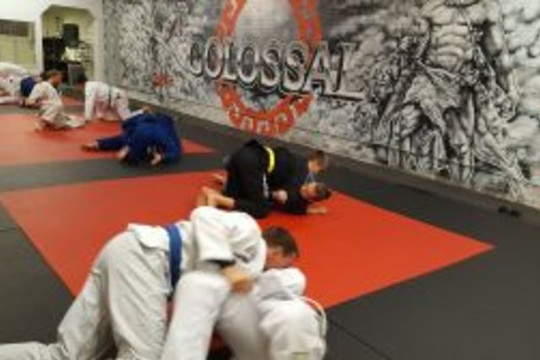 Image 1 from Colossal Fight Company partner gallery
