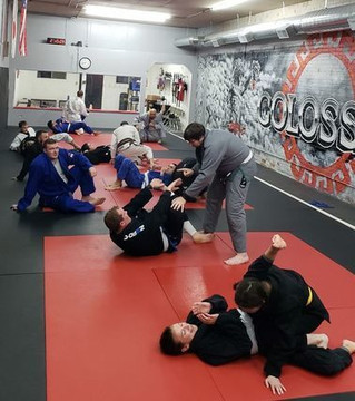Image 3 from Colossal Fight Company partner gallery