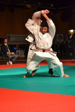 Immagine 3 dalla galleria del partner CSR Ju Jitsu Cento